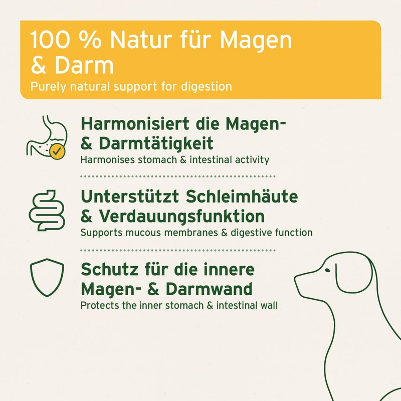 Ulmenrinde Pulver