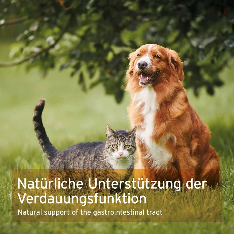 Flohsamenschalen