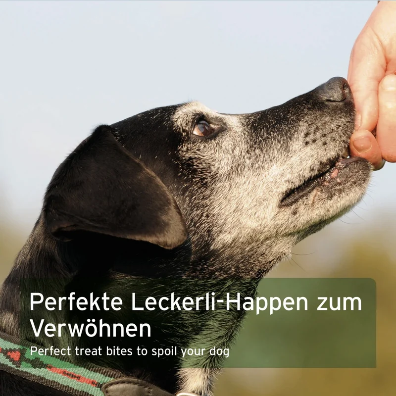 AniForte Obst & Gemüse Hundesnacks – Natürliche Trainingsbelohnung ohne Getreide & Zusätze für empfindliche Hunde
