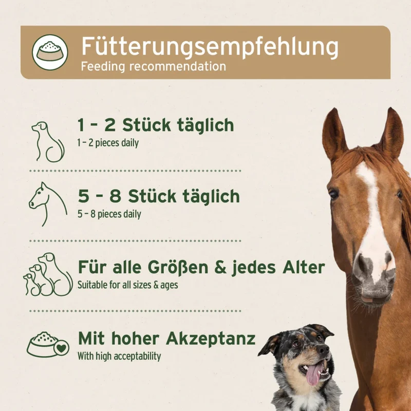 AniForte Bio Kokos-Sticks für Hunde & Pferde – Natürliche, getreidefreie Belohnung mit wertvollen Nährstoffen für gesunde Haut & glänzendes Fell