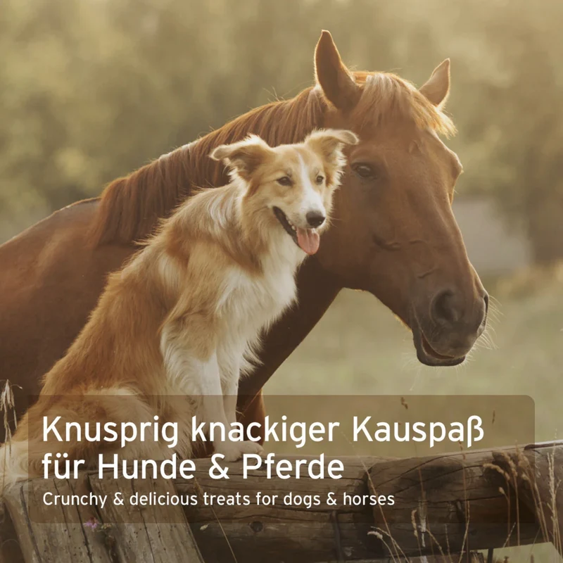 AniForte Bio Kokos-Sticks für Hunde & Pferde – Natürliche, getreidefreie Belohnung mit wertvollen Nährstoffen für gesunde Haut & glänzendes Fell