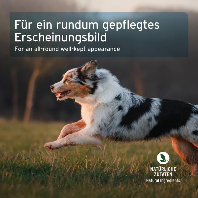 Fell & Haut Snack
