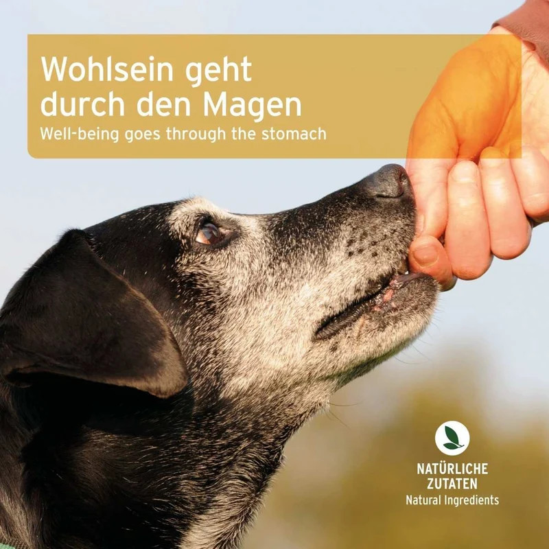 Magen & Darm Snack 50 g