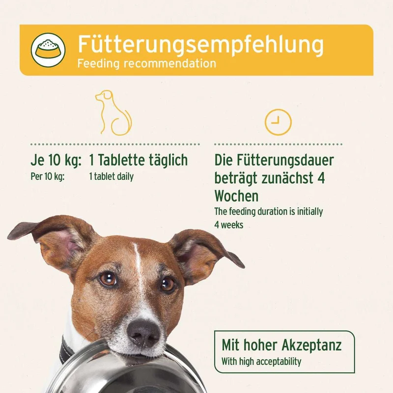 AniForte® plus Probiotikum