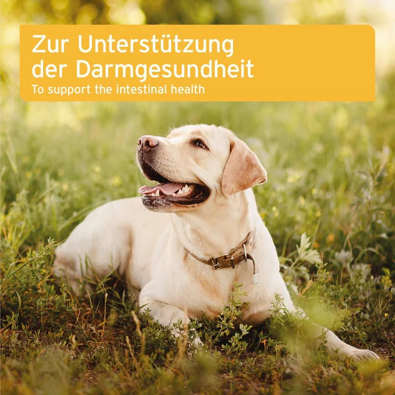AniForte® plus Probiotikum