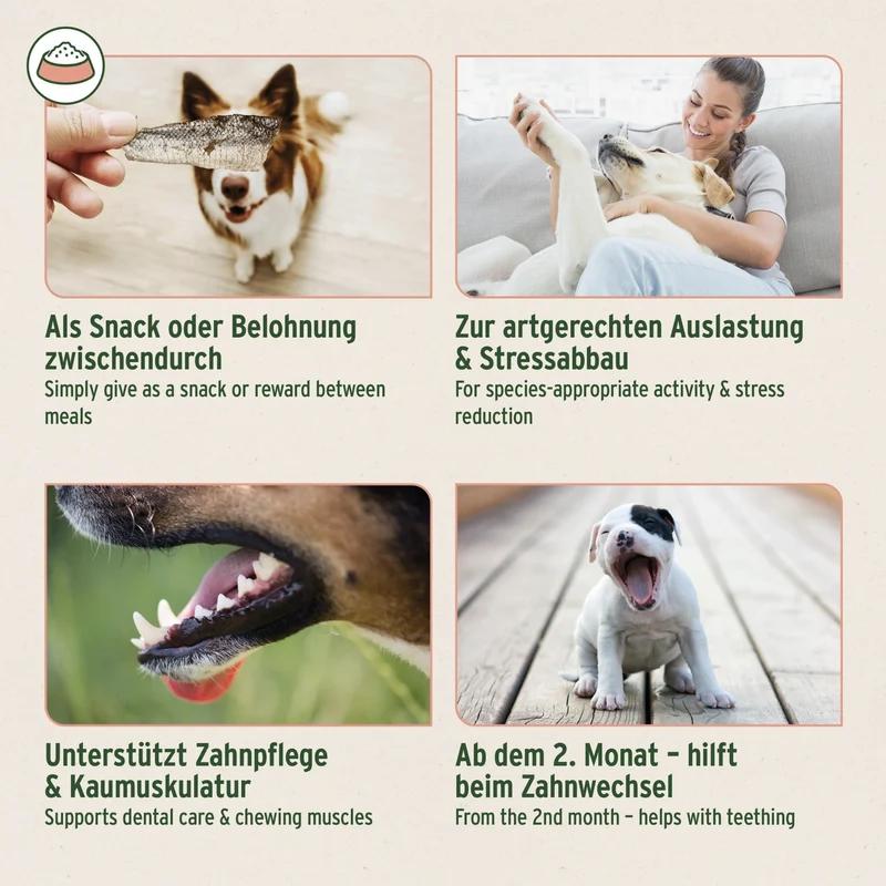 AniForte Lachshaut Hundesnack – 100% Natürlicher Kauspaß für gesunde Zähne & glänzendes Fell