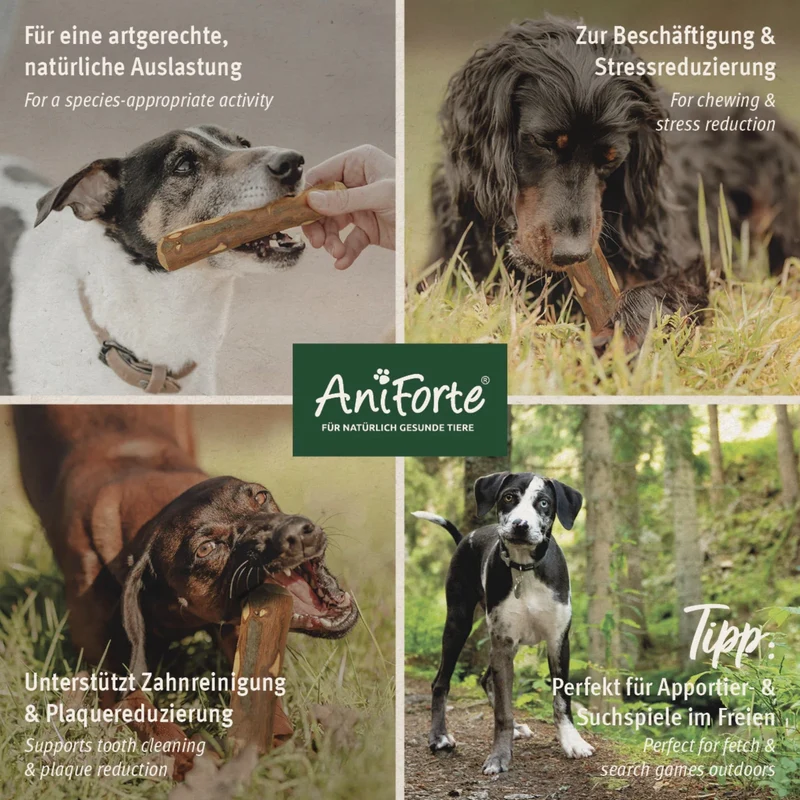 AniForte Olivenholz Kauknochen – Natürliche Zahnpflege & Langanhaltender Kauspaß für Hunde