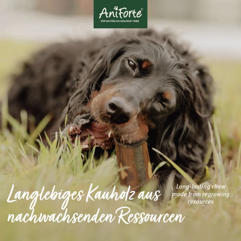 AniForte Olivenholz Kauknochen – Natürliche Zahnpflege & Langanhaltender Kauspaß für Hunde
