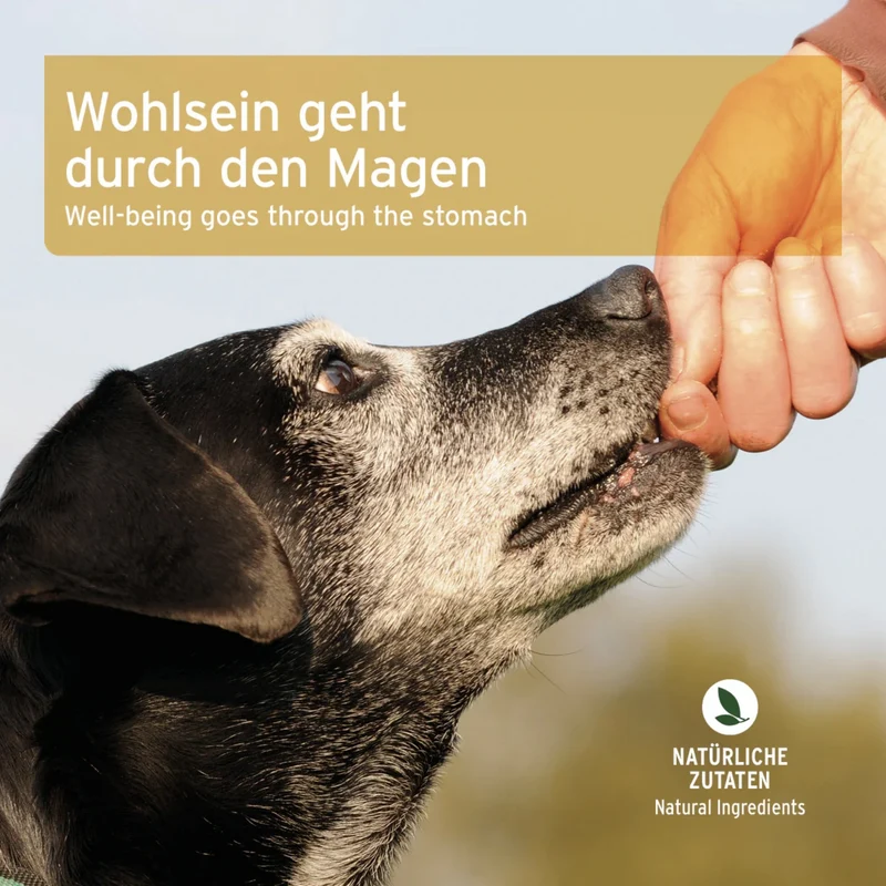 AniForte Magen & Darm Snack für Hunde – Präbiotische Funktionssnacks für gesunde Verdauung