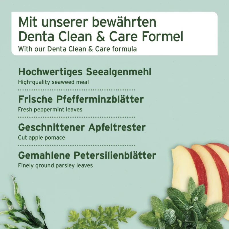 AniForte Denta-Snack für Hunde – Natürliche Zahnpflege gegen Zahnstein & Mundgeruch