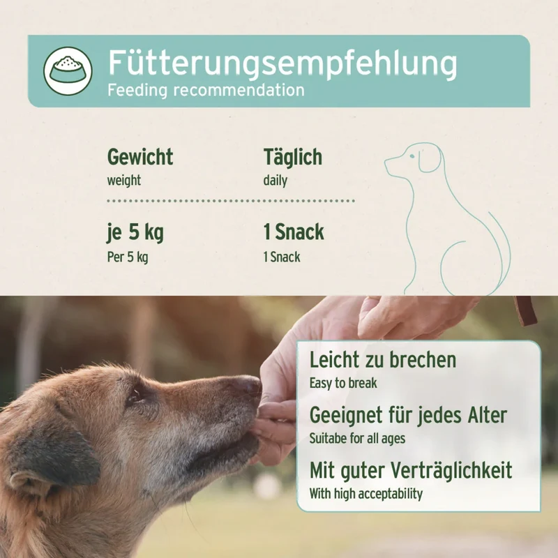 AniForte Denta-Snack für Hunde – Natürliche Zahnpflege gegen Zahnstein & Mundgeruch