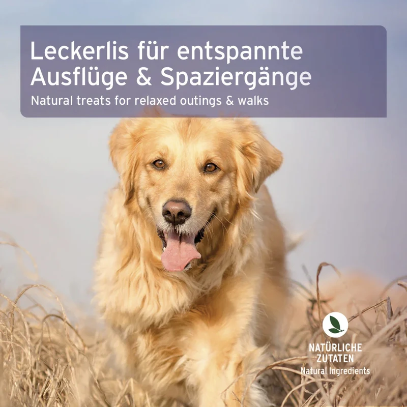 AniForte Relax-Snack für Hunde – Natürliche Beruhigung mit Hähnchen & Kräutern