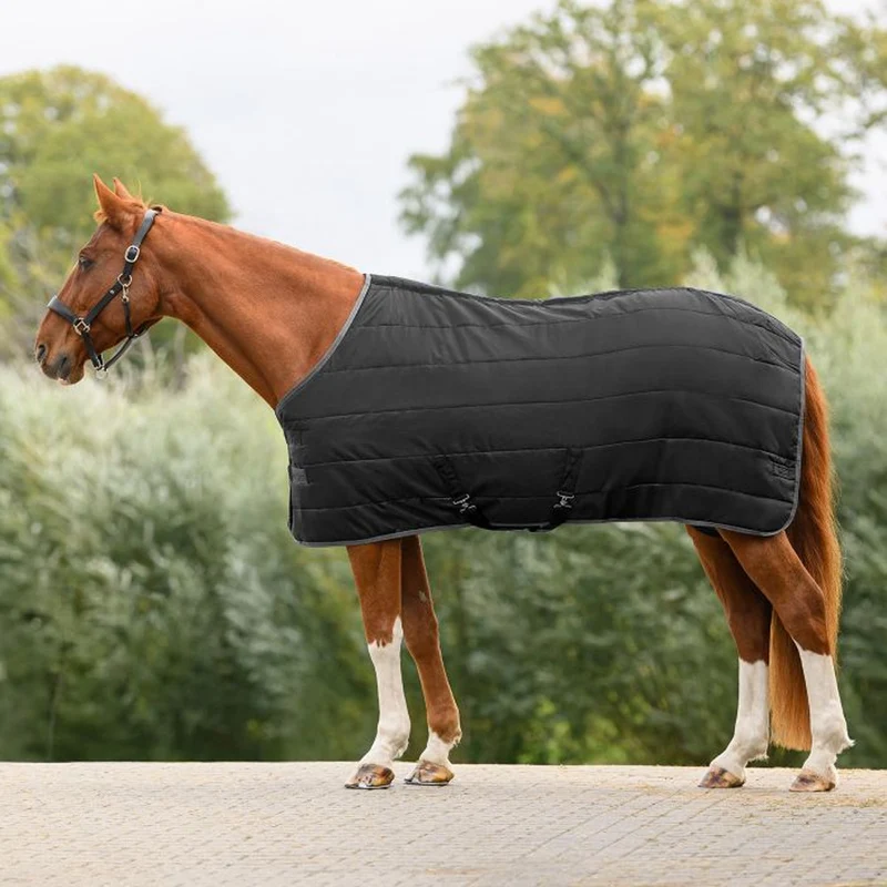 Coperta Box Cavallo Economic 300g Invernale Calda Comfort