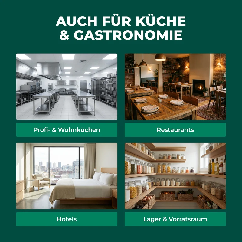 finicon Avantgarde Ameisenködergel: Profi-Köder gegen Ameisen – auch für Küchen & Lebensmittelbereiche