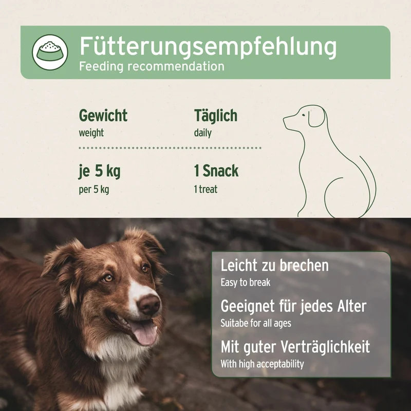 AniForte Z-Season Snack – Natürlicher Zeckenschutz für Hunde, getreidefrei & ohne künstliche Zusätze