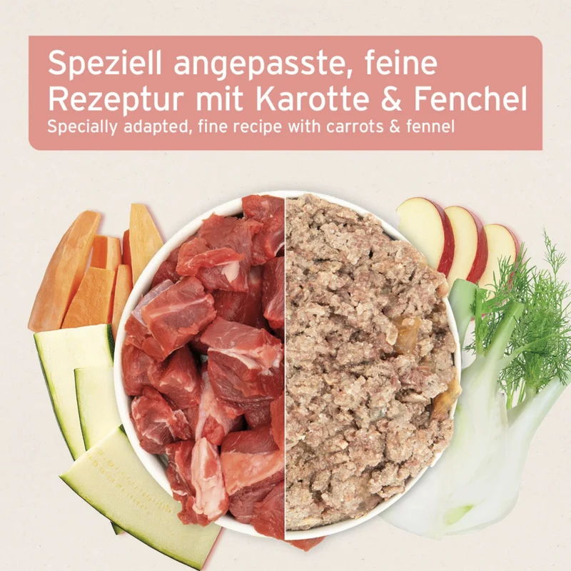 AniForte Pure Nature Senior Menu Beef – Getreidefreies Premium-Nassfutter für ältere Hunde mit Rind