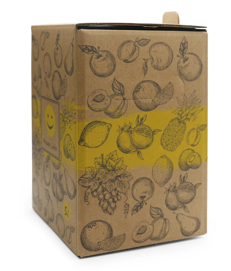 Bag-in-Box Karton – 3L oder 5L – wählbar im 2er- oder 10er-Pack