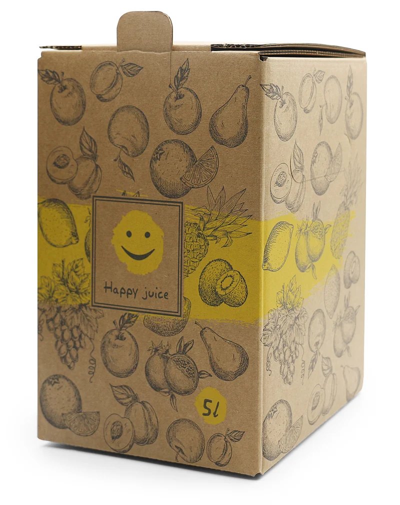 Bag-in-Box Karton – 3L oder 5L – wählbar im 2er- oder 10er-Pack