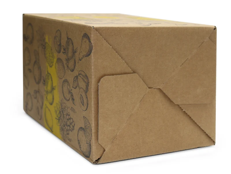 Bag-in-Box Karton – 3L oder 5L – wählbar im 2er- oder 10er-Pack