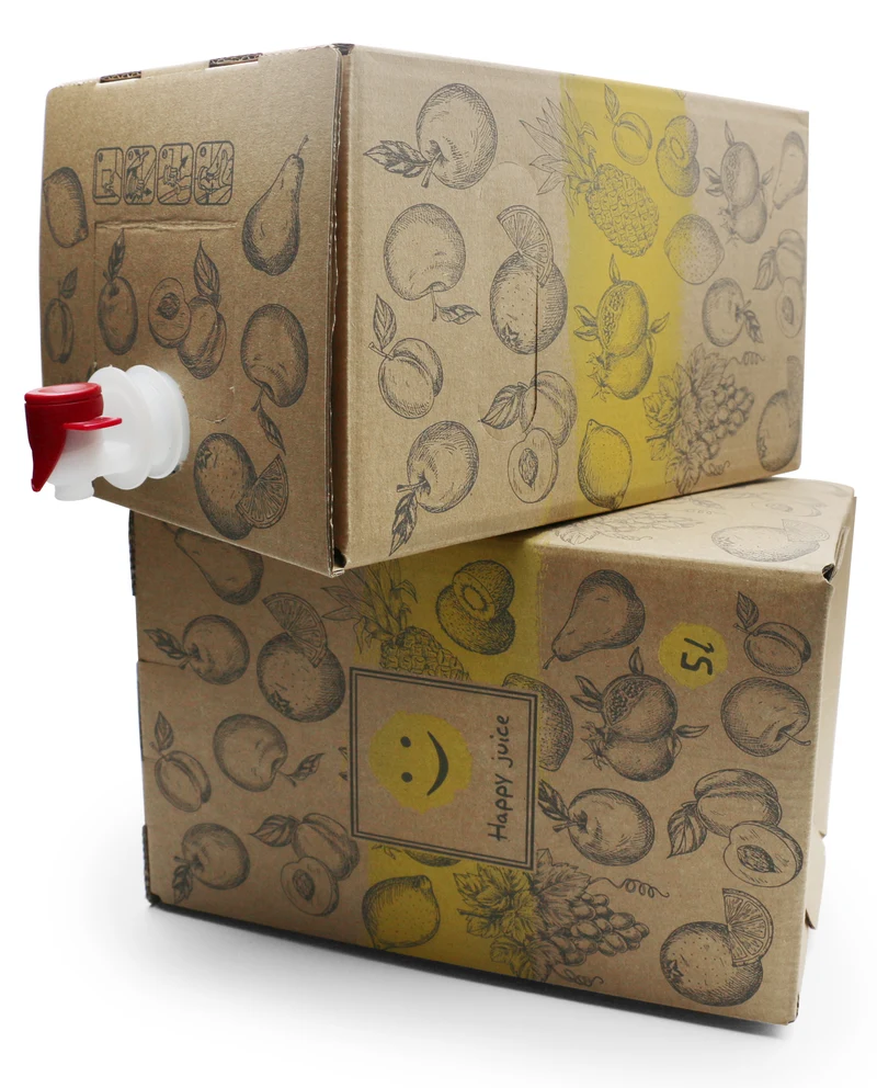 Bag-in-Box Karton – 3L oder 5L – wählbar im 2er- oder 10er-Pack