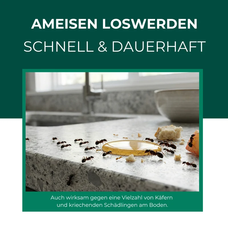 Ameisenfalle mit Spezial-Lockstoff