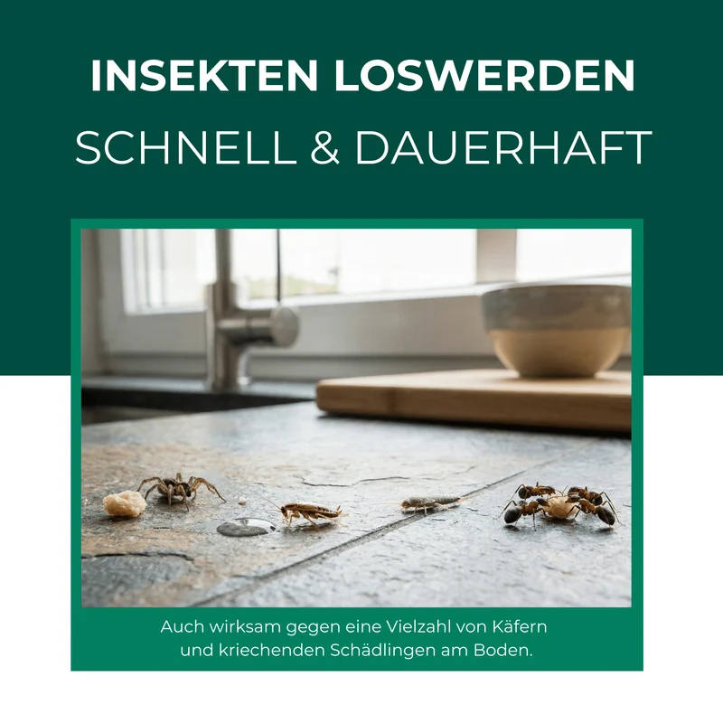 Ungeziefer/ Insektenfalle mit Spezial-Lockstoff