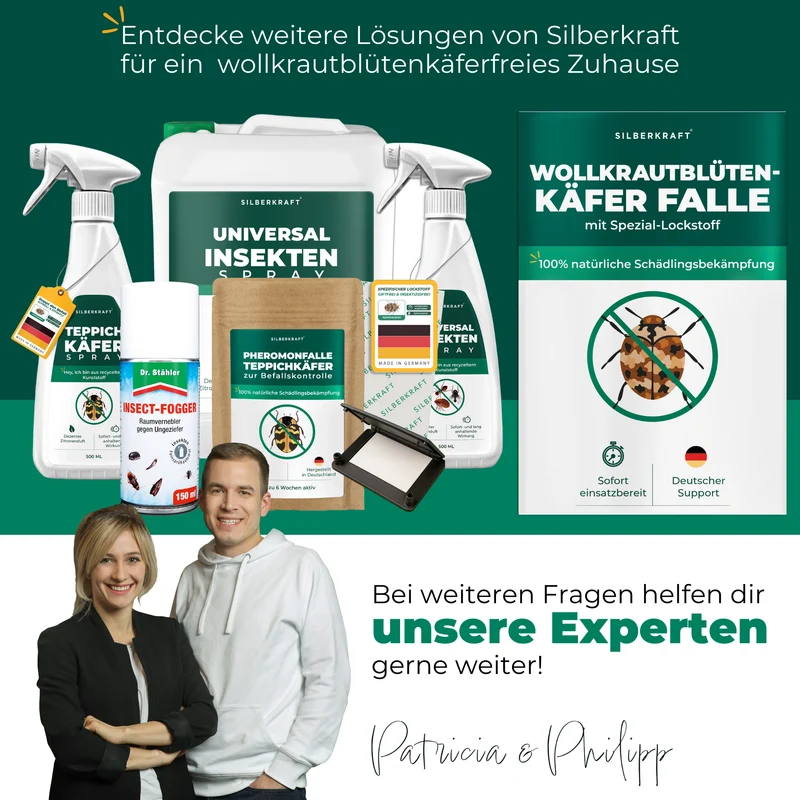Wollkrautblütenkäferfalle mit Spezial-Lockstoff