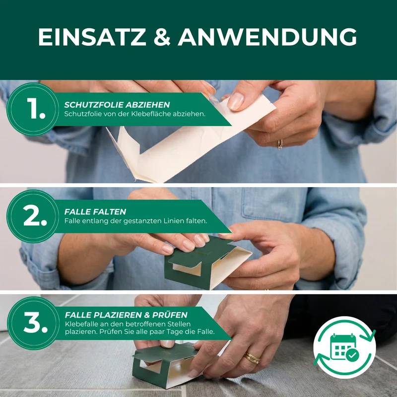 Wollkrautblütenkäferfalle mit Spezial-Lockstoff