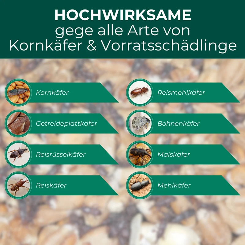 Kornkäferfalle mit Spezial-Lockstoff