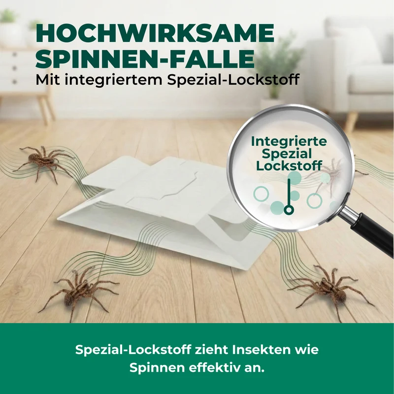 Spinnenfalle mit Spezial-Lockstoff