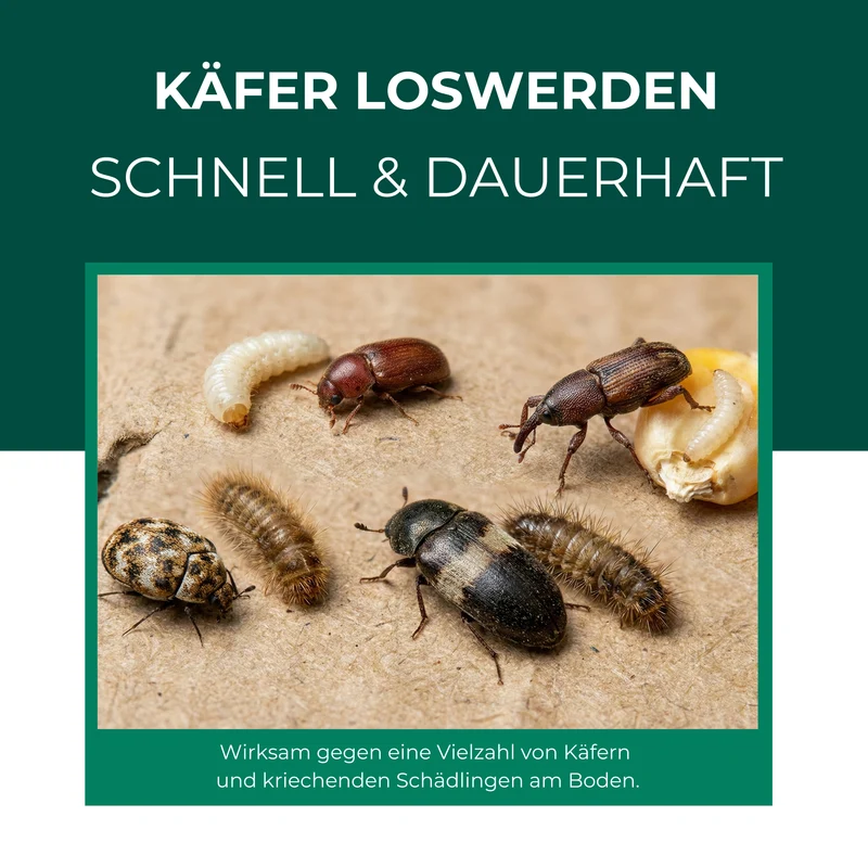 Käferfalle gegen diverse Käfer mit Spezial-Lockstoff