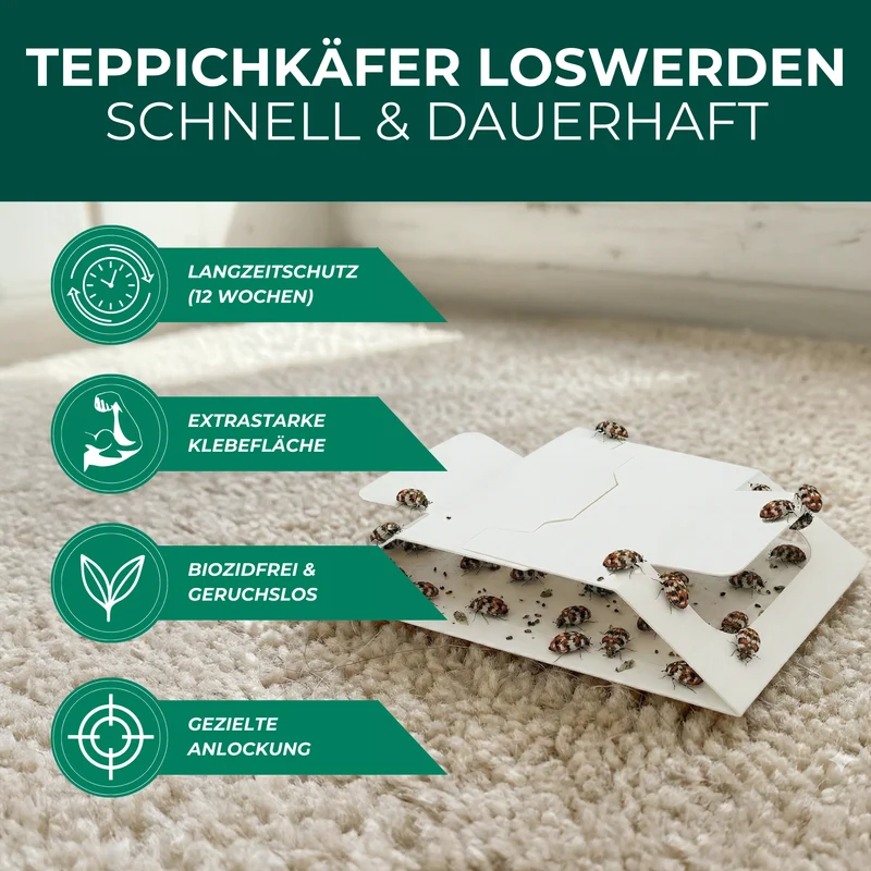 Teppichkäferfalle mit Spezial-Lockstoff