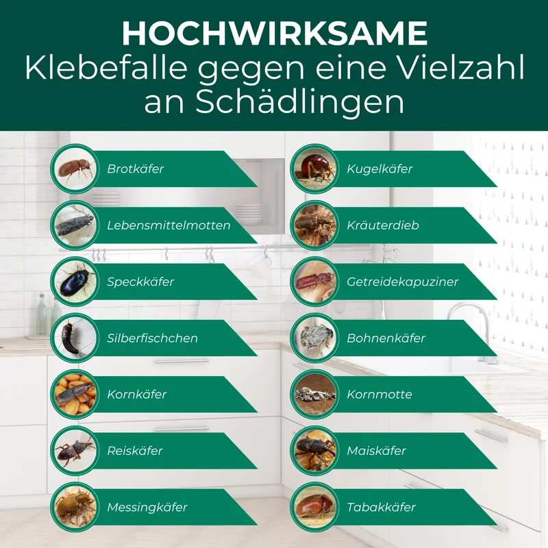 Kakerlaken/Schaben Falle mit Spezial-Lockstoff