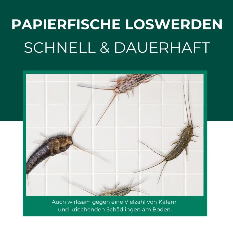 Papierfischfalle mit Spezial-Lockstoff