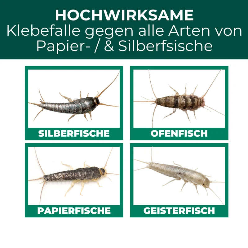 Papierfischfalle mit Spezial-Lockstoff