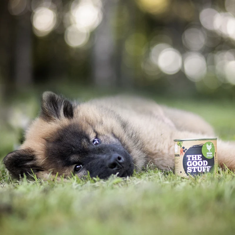 The Goodstuff Puppy/Junior Nassfutter mit Huhn – Premium Welpenfutter für optimales Wachstum, starke Knochen und gesunde Entwicklung | Getreidefrei & Natürlich