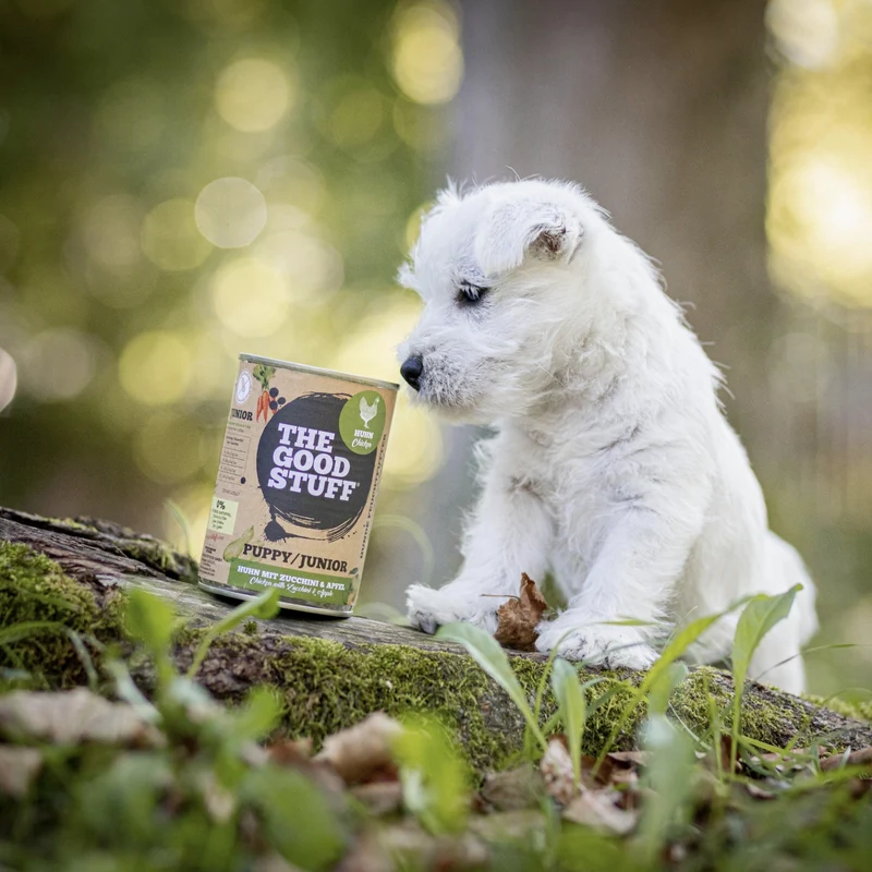 The Goodstuff Puppy/Junior Nassfutter mit Huhn – Premium Welpenfutter für optimales Wachstum, starke Knochen und gesunde Entwicklung | Getreidefrei & Natürlich