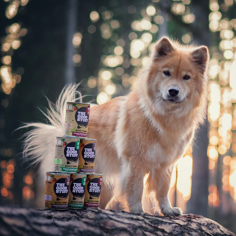 The Goodstuff Premium Hunde Nassfutter Ente mit Kürbis & Apfel – Getreidefreies Singleprotein Alleinfutter für sensible Hunde