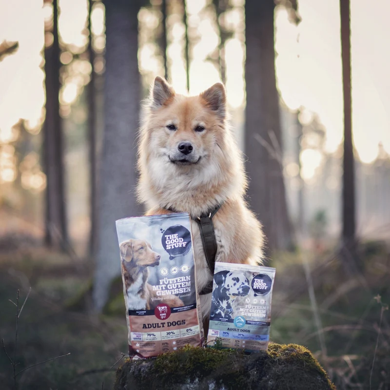 The Goodstuff Adult Dogs Rind Premium Trockenfutter für erwachsene Hunde – Getreidefrei, Natürlich & Leicht Verdaulich für Gesunde Vitalität