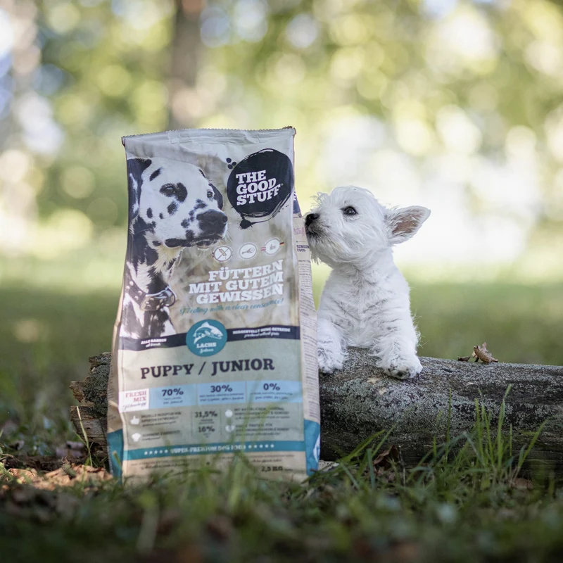 The Goodstuff Puppy/Junior Trockenfutter mit Lachs – Getreidefreie Welpennahrung für gesundes Wachstum, starke Knochen und optimale Verdauung