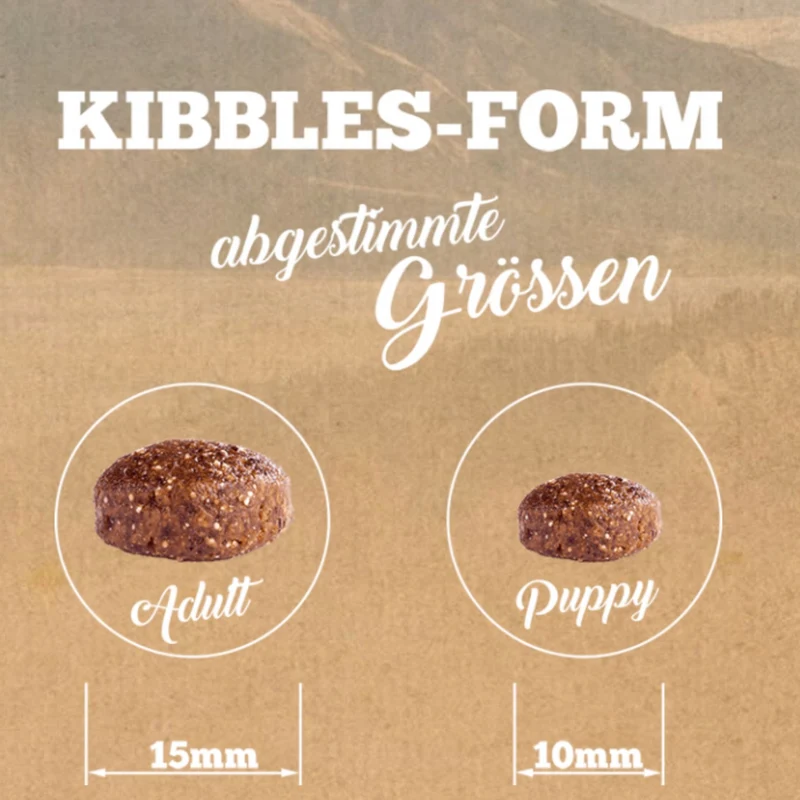 The Goodstuff Puppy/Junior Trockenfutter mit Lachs – Getreidefreie Welpennahrung für gesundes Wachstum, starke Knochen und optimale Verdauung
