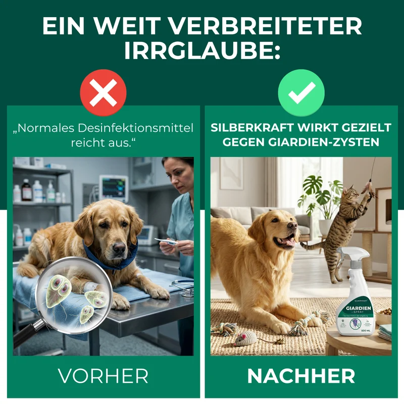 Giardienspray gegen Giardien, Bakterien, Viren & Pilze inkl. kostenloses eBook