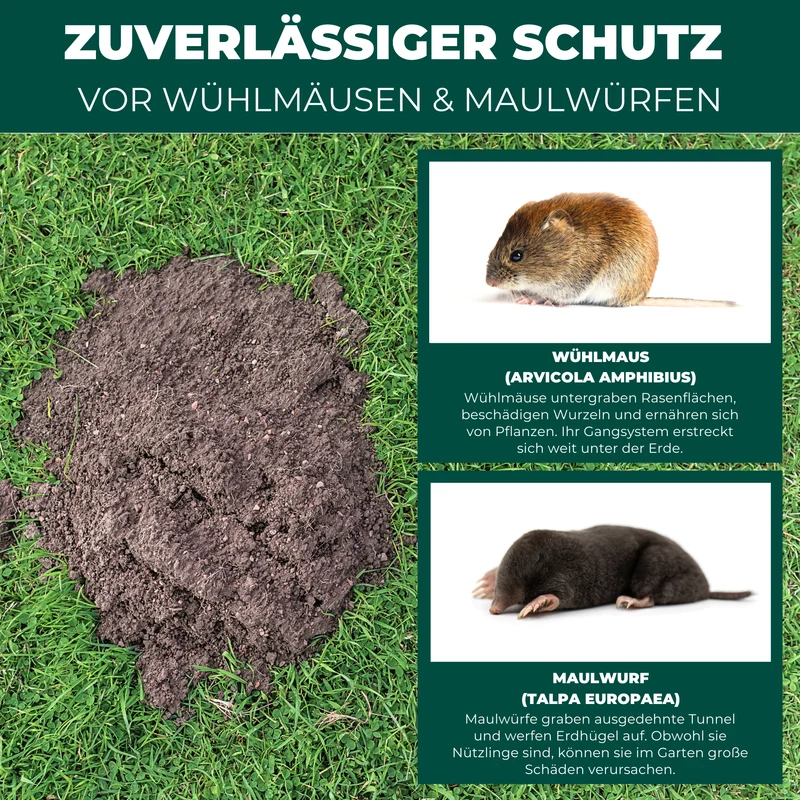Maulwurf und Wühlmaus Vertreiber