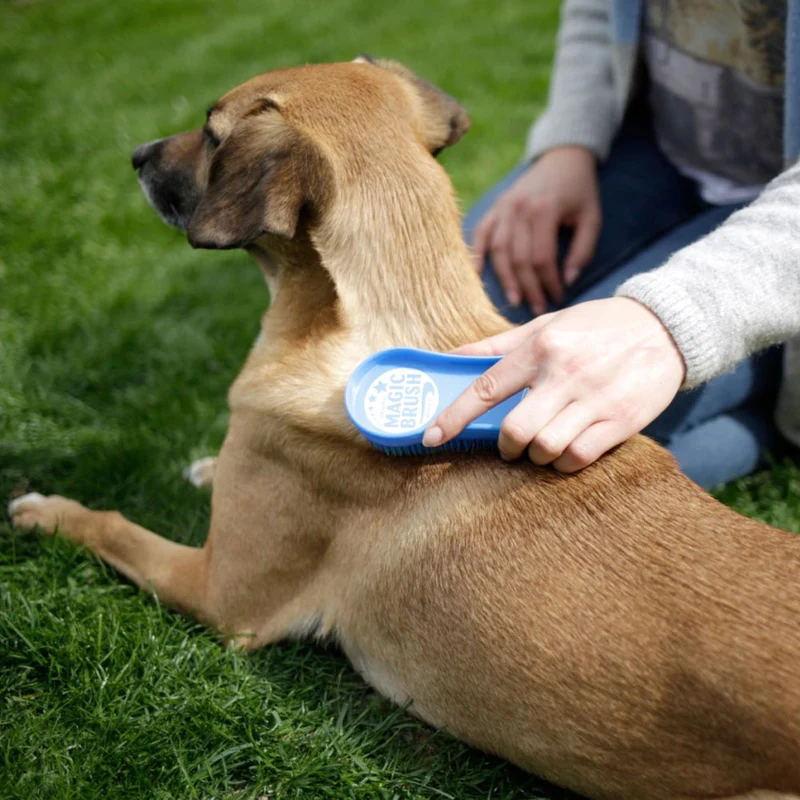 MagicBrush per cani