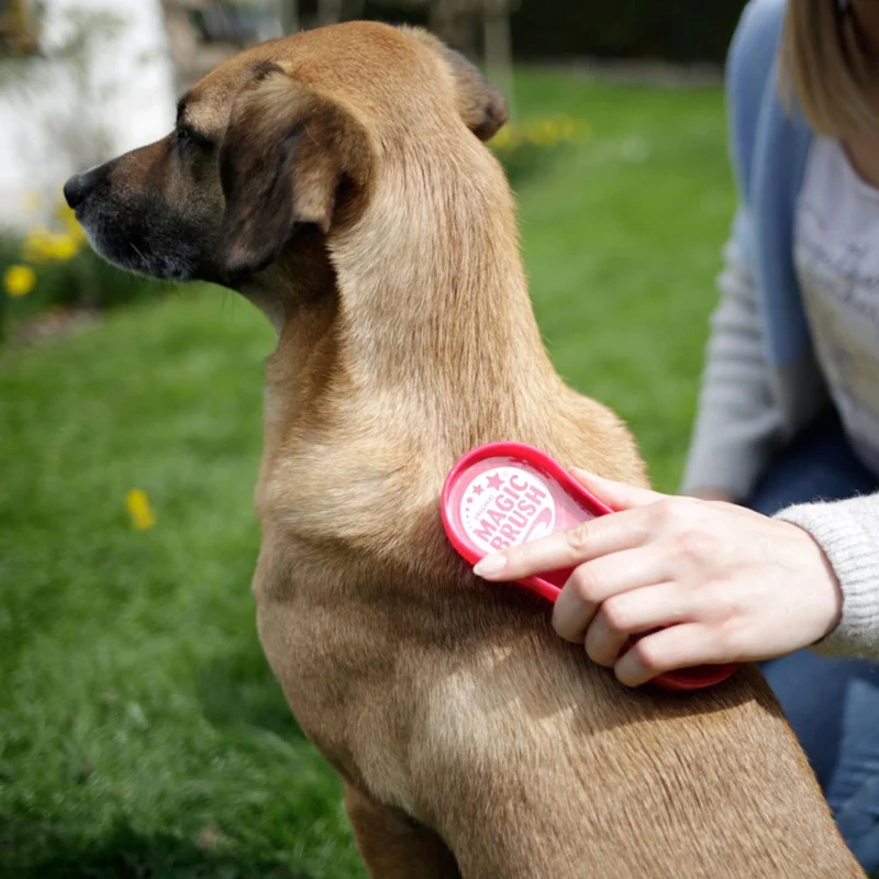 MagicBrush per cani