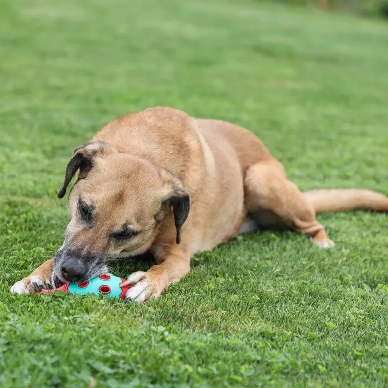 Coni ToyFastic Giocattolo per cani, 15 x 6,5cm
