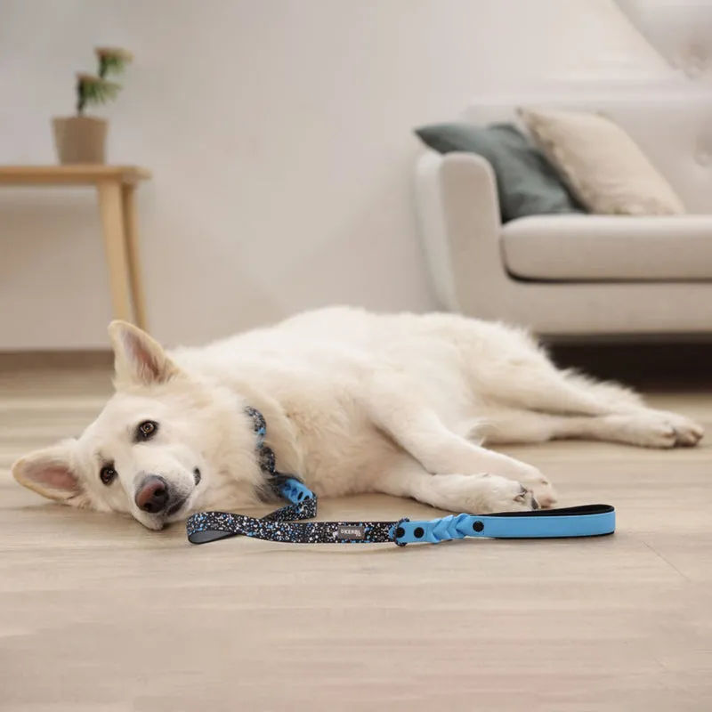 Guinzaglio per Cani Lima Nero/Blu in Plastica – 100cm