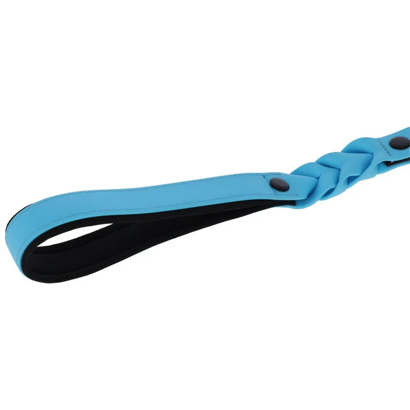 Guinzaglio per Cani Lima Nero/Blu in Plastica – 100cm