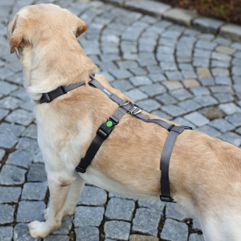 Pettorina antipanico Miami per cani