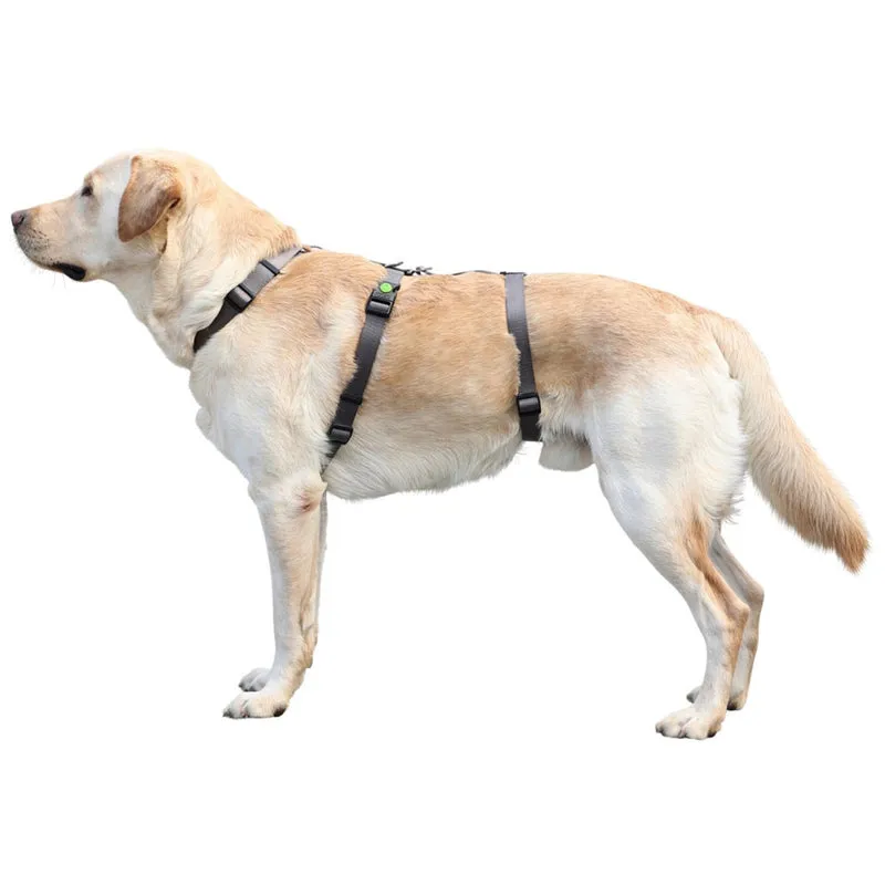 Pettorina antipanico Miami per cani